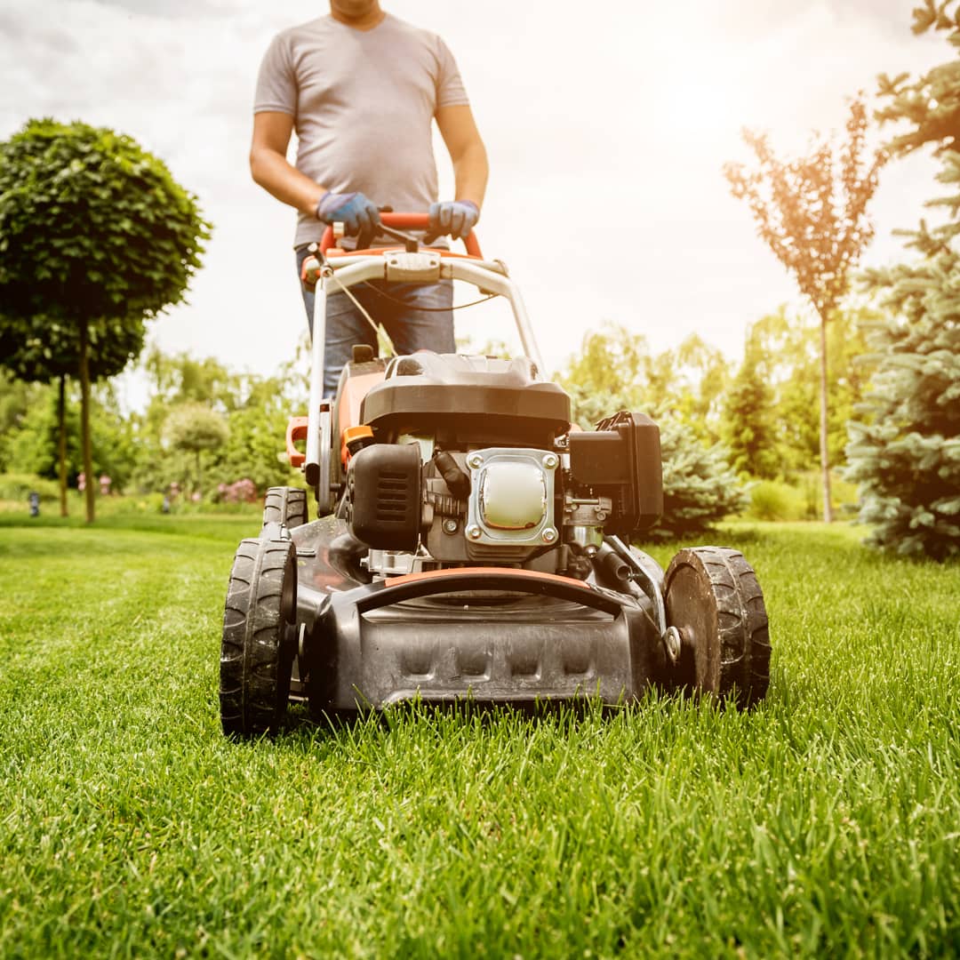 person mowing the lawn